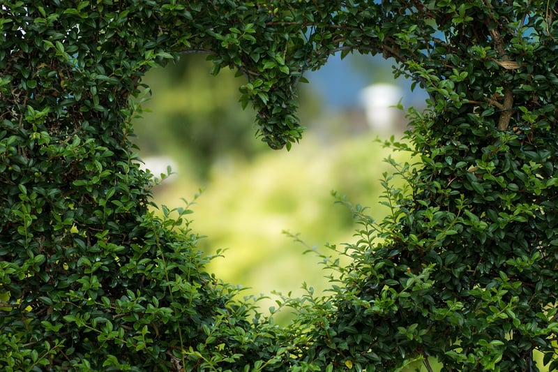 Personal Growth