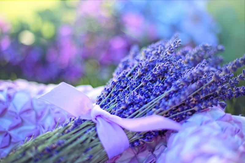 Herbal Remedies
