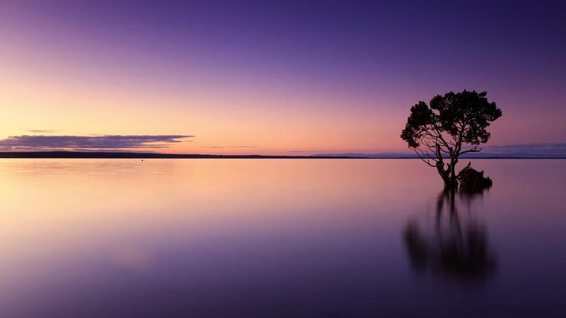 Sunset Meditation